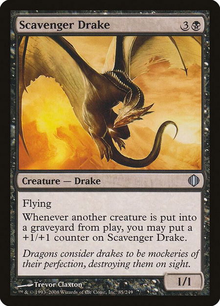 Scavenger Drake - Shards of Alara Magic: The Gathering trading card