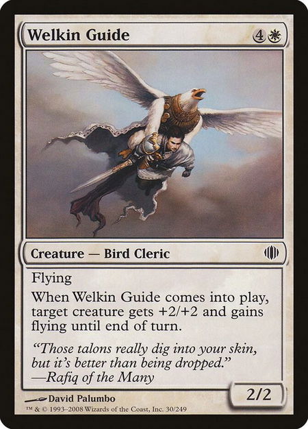 Welkin Guide - Shards of Alara Magic: The Gathering trading card