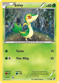 Snivy - 1/114 (Cosmos Holo) - Miscellaneous Cards & Products (MCAP) #001/114 - Promo Pokémon Trading Card