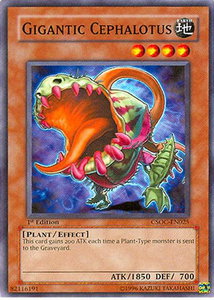 Gigantic Cephalotus - Crossroads of Chaos (CSOC) #CSOC-EN025 - Common / Short Print YuGiOh Trading Card