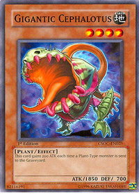 Gigantic Cephalotus - Crossroads of Chaos (CSOC) #CSOC-EN025 - Common / Short Print YuGiOh Trading Card