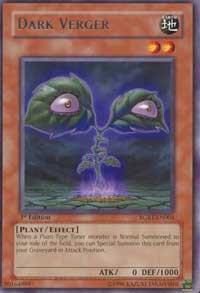 Dark Verger - Raging Battle YuGiOh trading card