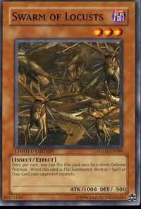Swarm of Locusts trading card from Gold Series 2008 Swarm of Locusts - Gold Series 2008 YuGiOh trading card