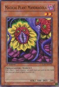 Magical Plant Mandragola - Structure Deck: Spellcaster's Command (SDSC) #SDSC-EN012 - Common / Short Print YuGiOh Trading Card