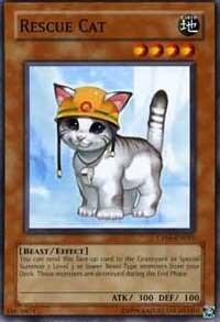 Rescue Cat - Champion Pack 5 (CP05) #CP05-EN015 - Common / Short Print YuGiOh Trading Card