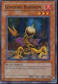 Lonefire Blossom trading card from Champion Pack 7 Lonefire Blossom - Champion Pack 7 YuGiOh trading card
