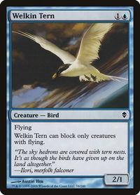 Welkin Tern - Zendikar (ZEN) #76 - Common Magic: The Gathering Trading Card