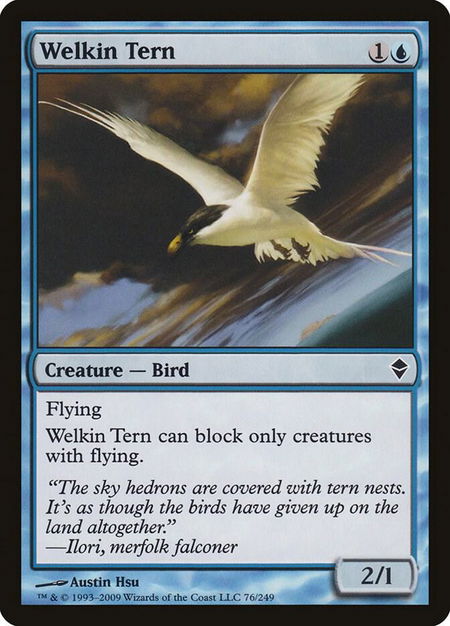 Welkin Tern trading card from Zendikar Welkin Tern - Zendikar Magic: The Gathering trading card