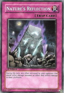 Nature's Reflection - Absolute Powerforce (ABPF) #ABPF-EN065 - Common / Short Print YuGiOh Trading Card