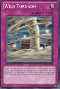 Wild Tornado - Starter Deck: Duelist Toolbox (5DS3) #5DS3-EN029 - Common / Short Print YuGiOh Trading Card