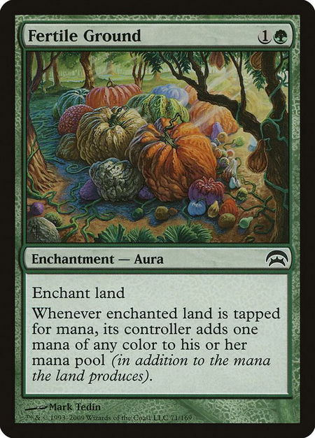 Fertile Ground - Planechase Magic: The Gathering trading card