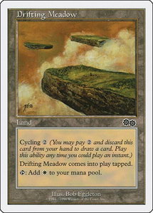 Drifting Meadow - Battle Royale Box Set (BRB) #null - Common Magic: The Gathering Trading Card
