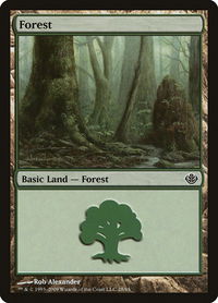 Forest (28) - Duel Decks: Garruk vs. Liliana (DDD) #28 - Land Magic: The Gathering Trading Card