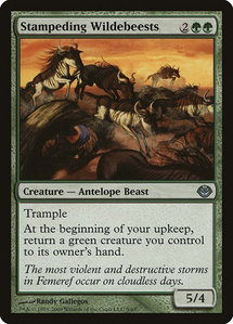 Stampeding Wildebeests - Duel Decks: Garruk vs. Liliana (DDD) #9 - Uncommon Magic: The Gathering Trading Card
