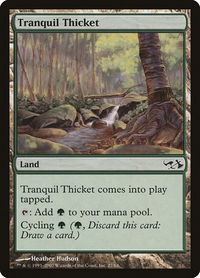 Tranquil Thicket - Duel Decks: Elves vs. Goblins (EVG) #27 - Common Magic: The Gathering Trading Card