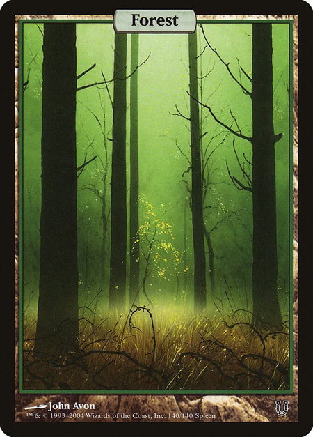 Forest - Full Art - Unhinged Magic: The Gathering trading card