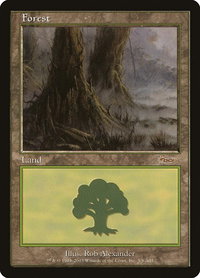 Forest (2003) - Arena Promos (ARENA) #5 - Promo Magic: The Gathering Trading Card