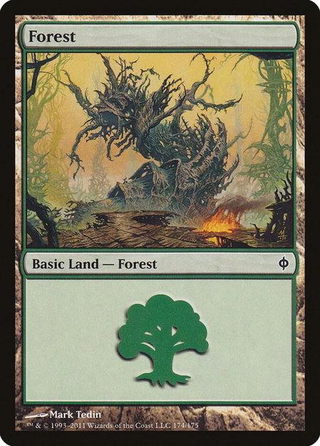 Forest (174) - New Phyrexia Magic: The Gathering trading card