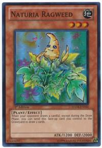 Naturia Ragweed trading card from Hidden Arsenal 4 Naturia Ragweed - Hidden Arsenal 4 YuGiOh trading card