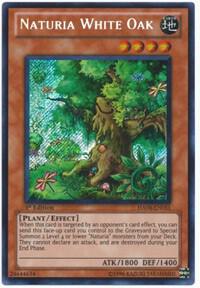 Naturia White Oak trading card from Hidden Arsenal 4 Naturia White Oak - Hidden Arsenal 4 YuGiOh trading card