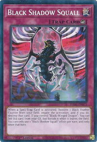 Black Shadow Squall - Darkwing Blast (DABL) #DABL-EN072 - Common / Short Print YuGiOh Trading Card
