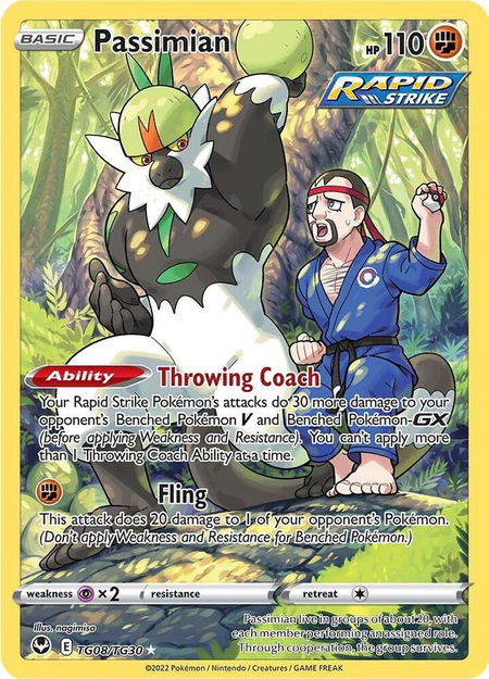 Passimian - SWSH12: Silver Tempest Trainer Gallery Pokémon trading card