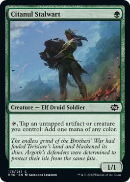 Citanul Stalwart - The Brothers' War Magic: The Gathering trading card