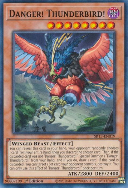 Danger! Thunderbird! trading card from Structure Deck: Dark World Danger! Thunderbird! - Structure Deck: Dark World YuGiOh trading card