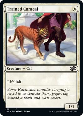 Trained Caracal - Jumpstart 2022 Magic: The Gathering trading card