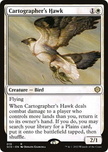 Cartographer's Hawk - Starter Commander Decks (SCD) #10 - Rare Magic: The Gathering Trading Card