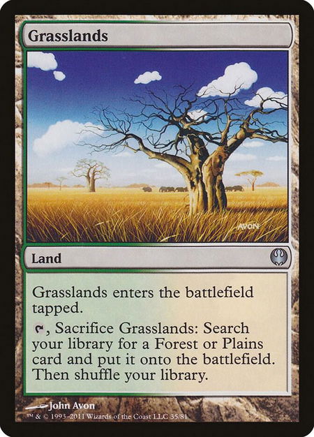 Grasslands - Duel Decks: Knights vs. Dragons Magic: The Gathering trading card
