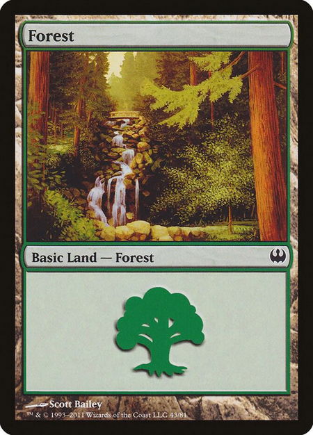 Forest (43) - Duel Decks: Knights vs. Dragons Magic: The Gathering trading card