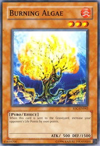 Burning Algae - Invasion of Chaos (Worldwide English) (IOC-EN) #IOC-EN062 - Common / Short Print YuGiOh Trading Card