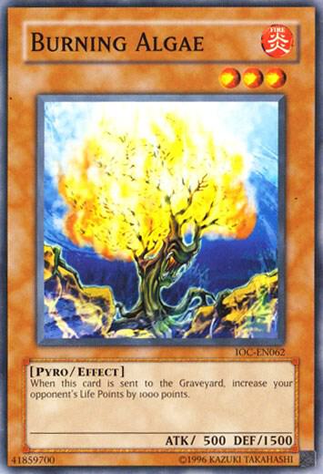 Burning Algae trading card from Invasion of Chaos (Worldwide English) Burning Algae - Invasion of Chaos (Worldwide English) YuGiOh trading card