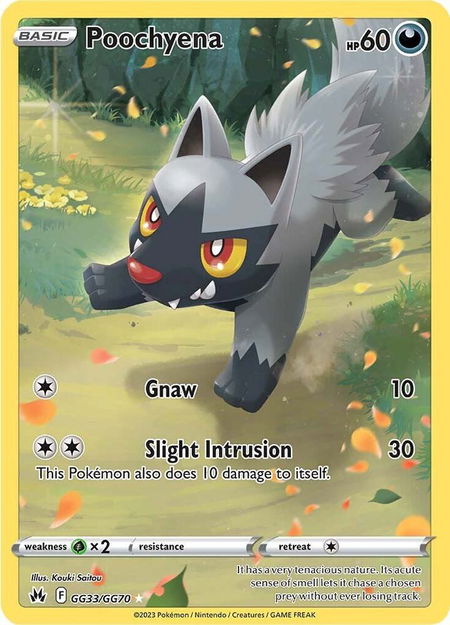 Poochyena - Crown Zenith: Galarian Gallery Pokémon trading card