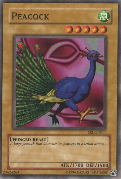 Peacock trading card from Spell Ruler (Worldwide English) Peacock - Spell Ruler (Worldwide English) YuGiOh trading card