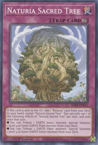 Naturia Sacred Tree - Structure Deck: Beware of Traptrix (SDBT) #SDBT-EN037 - Common / Short Print YuGiOh Trading Card