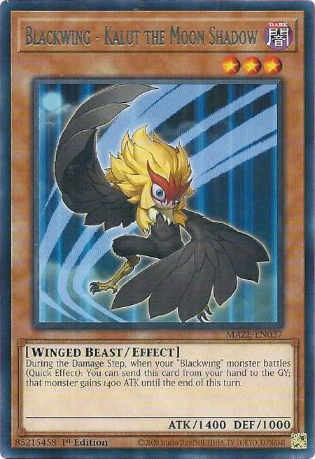 Blackwing - Kalut the Moon Shadow - Maze of Memories YuGiOh trading card