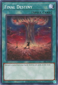 Final Destiny - Spell Ruler (25th Anniversary Edition) (SRL-EN) #SRL-EN035 - Common / Short Print YuGiOh Trading Card