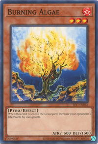 Burning Algae - Invasion of Chaos (25th Anniversary Edition) (IOC-EN) #IOC-EN062 - Common / Short Print YuGiOh Trading Card