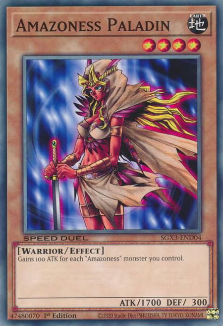 Amazoness Paladin - Speed Duel GX: Duelists of Shadows YuGiOh trading card