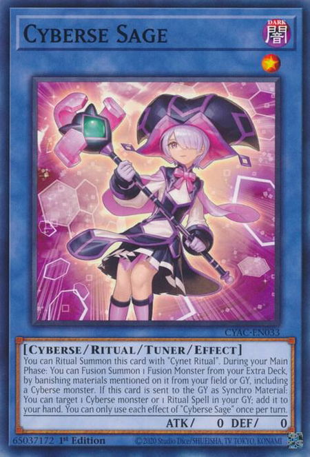 Cyberse Sage - Cyberstorm Access YuGiOh trading card