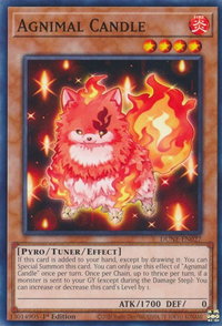 Agnimal Candle - Duelist Nexus (DUNE) #DUNE-EN027 - Common / Short Print YuGiOh Trading Card