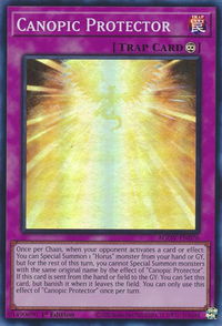 Canopic Protector - Age of Overlord (AGOV) #AGOV-EN076 - Super Rare YuGiOh Trading Card