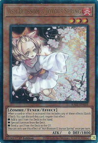 Ash Blossom & Joyous Spring (PUR) - 25th Anniversary Rarity Collection (RA01) #RA01-EN008 - Prismatic Ultimate Rare YuGiOh Trading Card