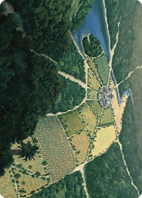 Restless Prairie Art Card - Art Series: The Lost Caverns of Ixalan (ASLCI) #43 - Special Magic: The Gathering Trading Card