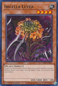 Ibicella Lutea - Valiant Smashers (VASM) #VASM-EN052 - Rare YuGiOh Trading Card