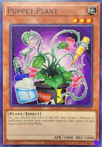 Puppet Plant - OTS Tournament Pack 24 (OP24) #OP24-EN016 - Common / Short Print YuGiOh Trading Card