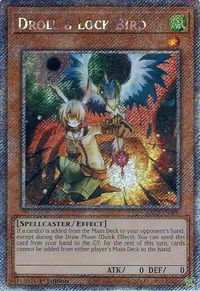 Droll & Lock Bird (Platinum Secret Rare) - 25th Anniversary Rarity Collection II (RA02) #RA02-EN006 - Platinum Secret Rare YuGiOh Trading Card