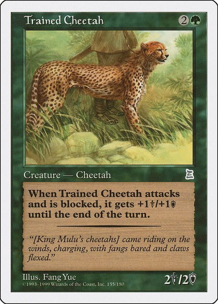 Trained Cheetah - Portal Three Kingdoms Magic: The Gathering trading card